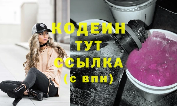 спиды Каменка