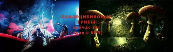 каннабис Каменногорск