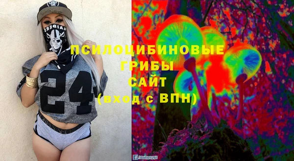 спиды Каменка