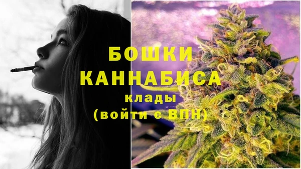 спиды Каменка