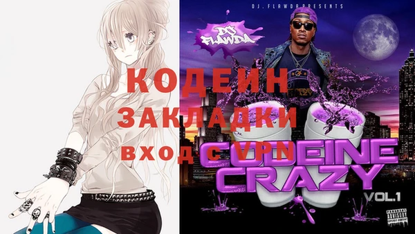 спиды Каменка