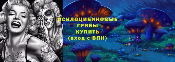 каннабис Каменногорск