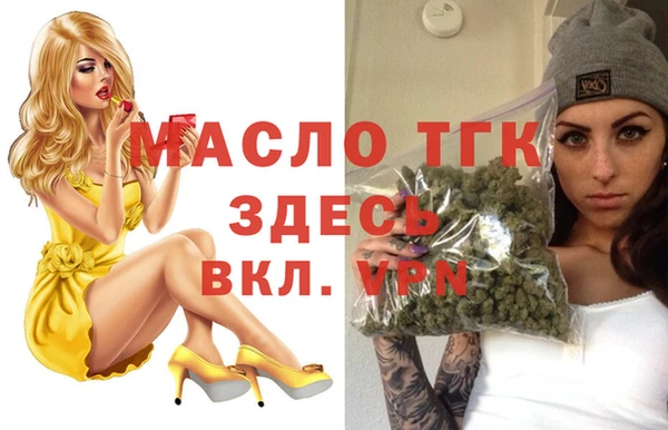 спиды Каменка